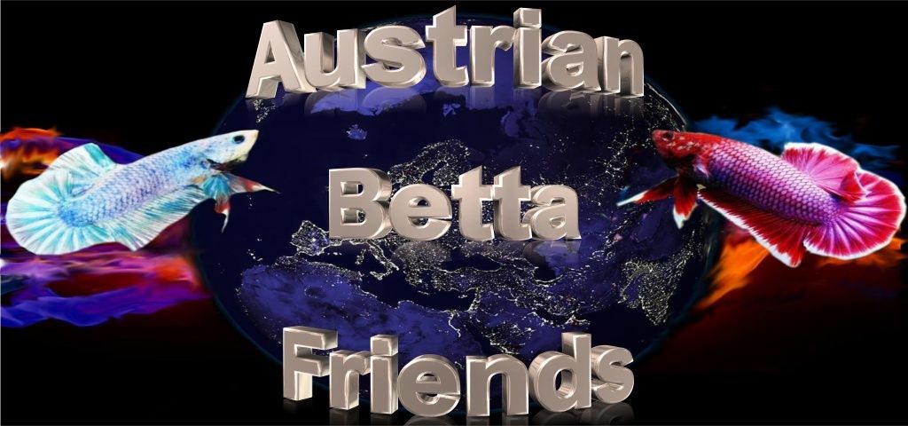 Austrian-Betta-Friends