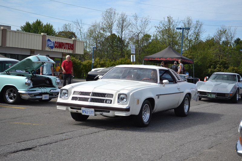 Erichs 76' Laguna - White devil. Hazeld10