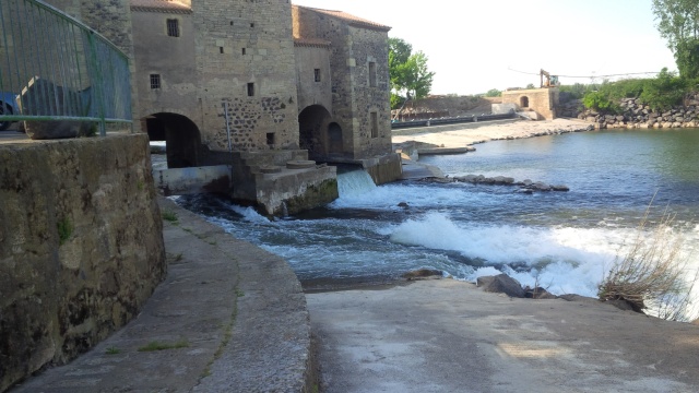 Passe à poissons St Thibéry Img_2017