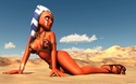 Présentation Ahsoka14