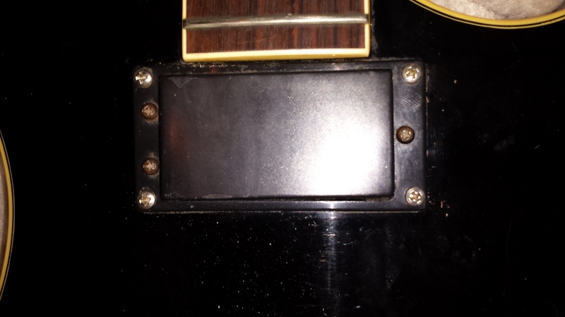 Prestige pickups question Pickup11