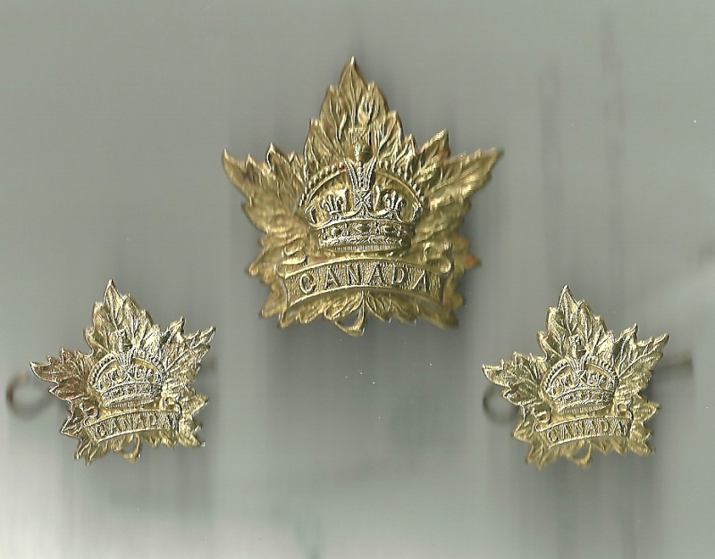 Help with these CEF maple leaf badges Cef_ma14