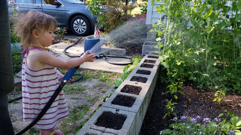 MomVet - My first Square Foot Garden - Page 2 20150515