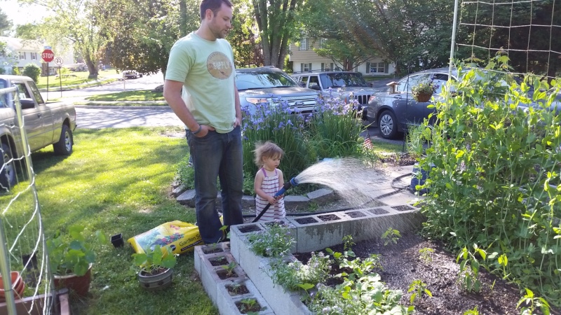 MomVet - My first Square Foot Garden - Page 2 20150516