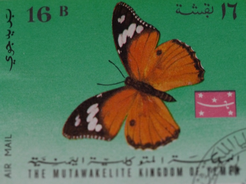 timbre papillon [Colias erate & Danaus chrysippus] P1050311