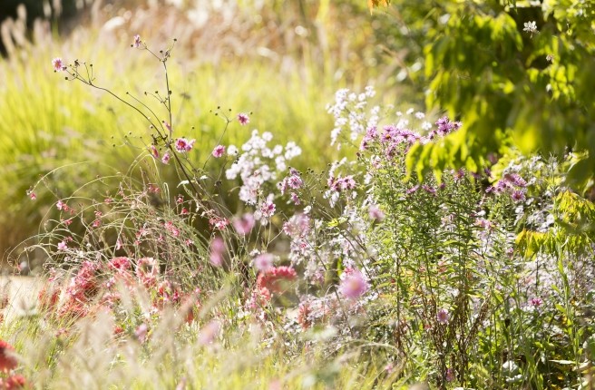 J'aime les jardins - Page 2 Jardin12