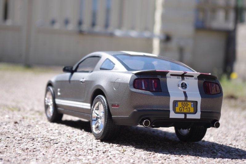 Shelby GT500 2010 Revell 1/12  Imgp0210