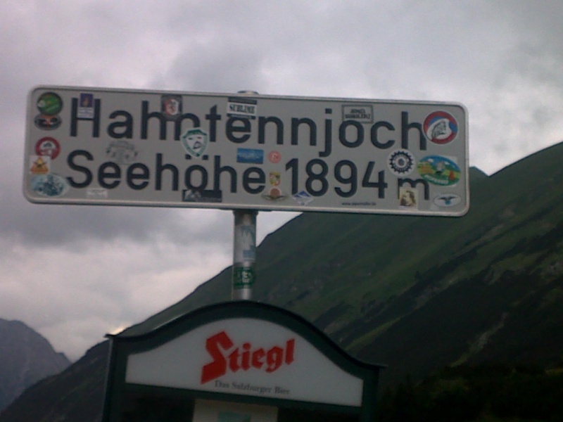 Bergfrühling: botantische Wanderung am Hahntennjoch/ Tirol 18072010