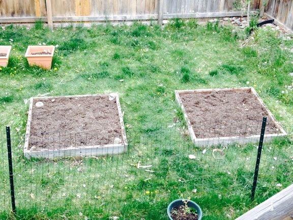 Before & After - Got two beds cleaned out 2015_s13