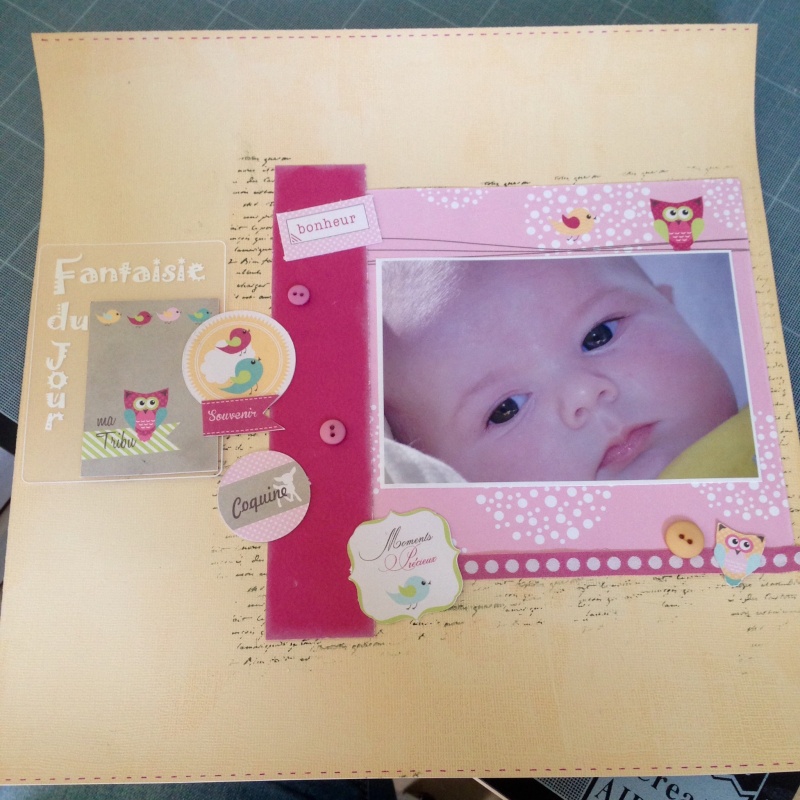 Challenge Scrapbooking Day n°6 : Steph63 2015_016