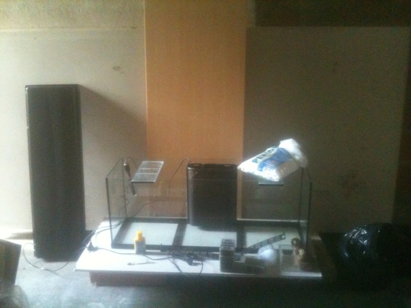 Aquarium 120L en projet, débutant! Img_0412