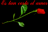 ¿Quién está en línea?