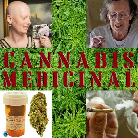 Marihuana: 10 beneficios médicos comprobados Cannab12