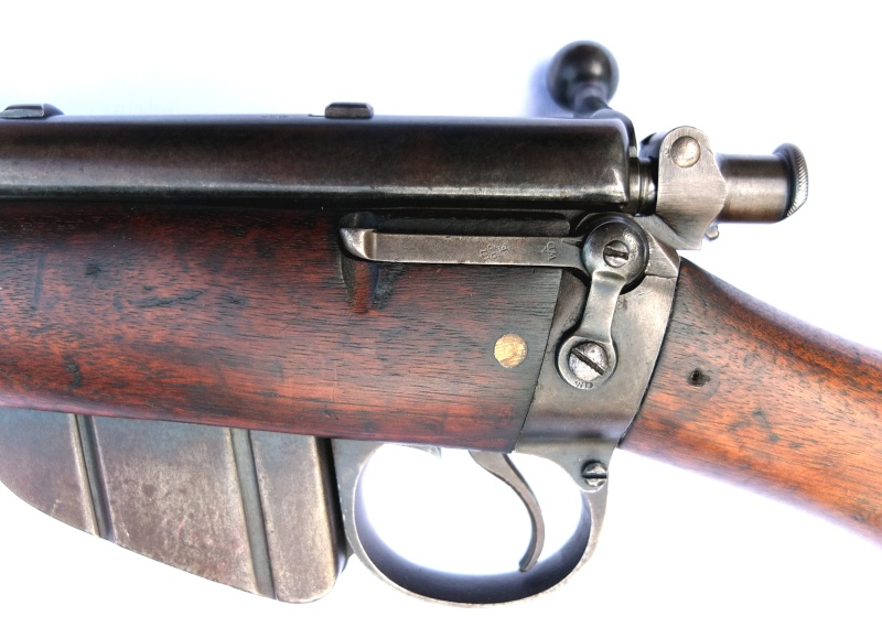 lee  enfield - 1896 ENFIELD MLE Mk I Parker rifled .22" Dscf0410
