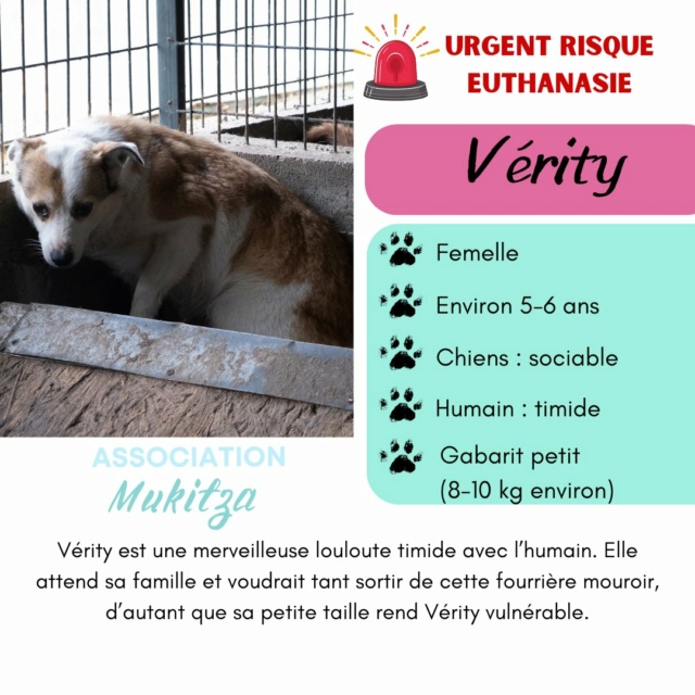 VERITY, F X, TAILLE MOYENNE (PIATRA/FOURRIERE) 43446210