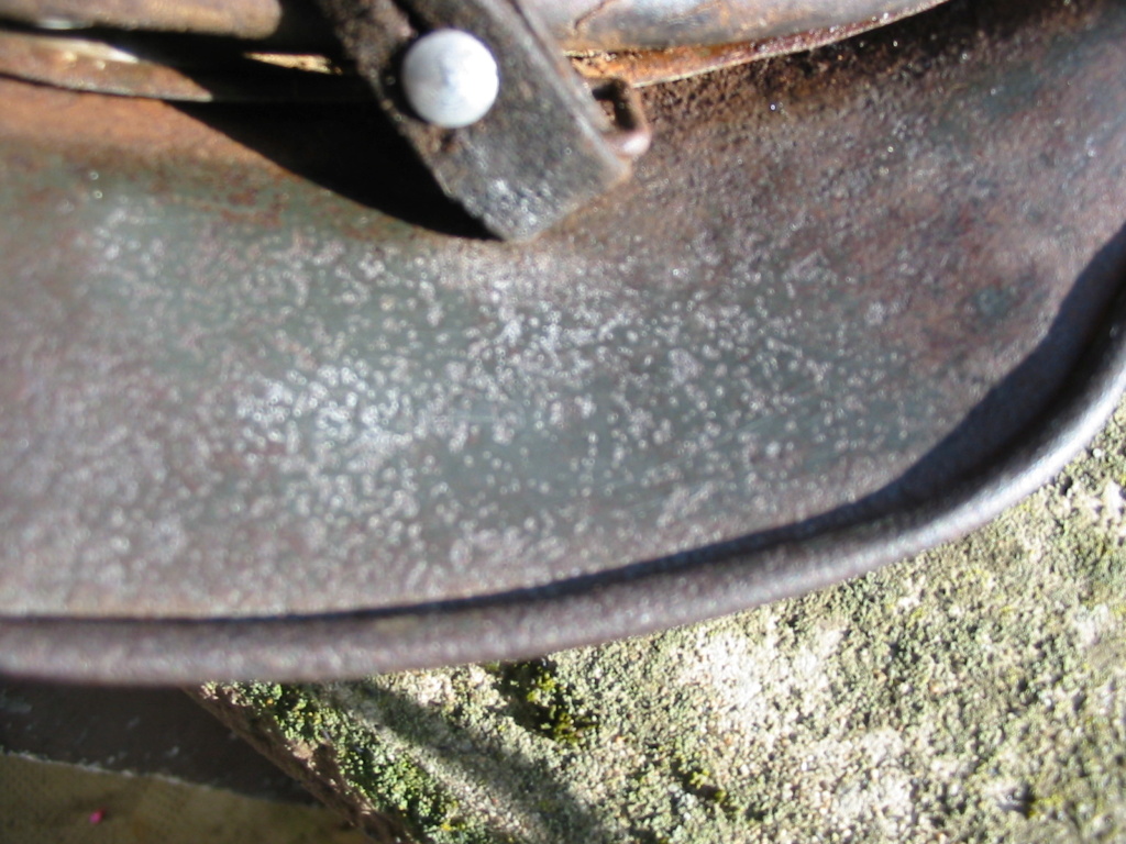 casque allemand Img_8915