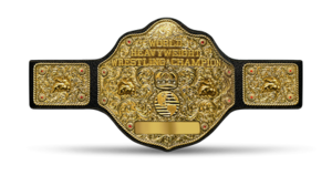 NWA World Heavyweight Championship 300px-10
