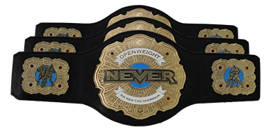 NEVER Openweight 6-Man Tag Team Championship Never_10