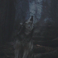 ahran - crying to the moon Tumblr15