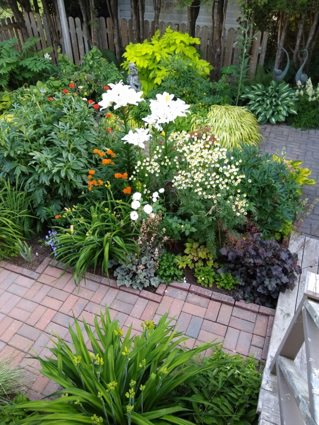Jardin d'Alice 2019 - Page 9 Img_2207