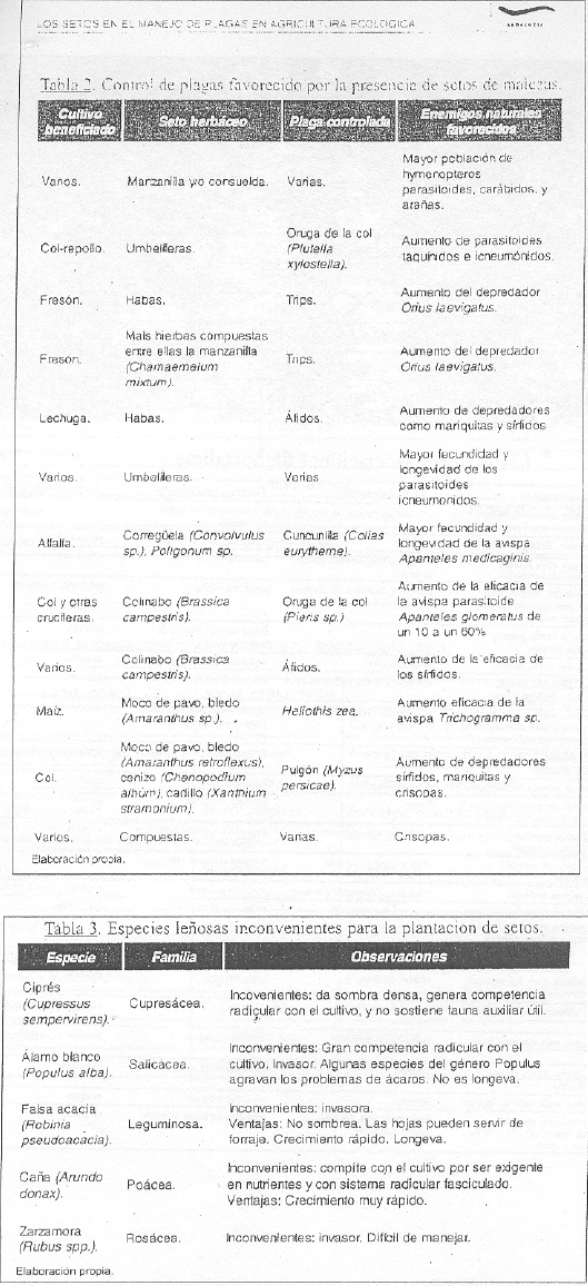 Asociaciones de árboles y plantas . Asocia12