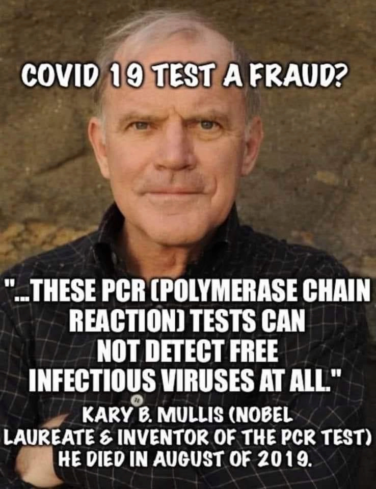 PCR Fraud Harry11