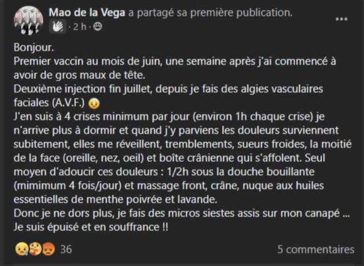 Les PIQUOUSÉS ne VIVRONT PAS PLUS de 10 ANS ! -2- - Page 34 1156_m10