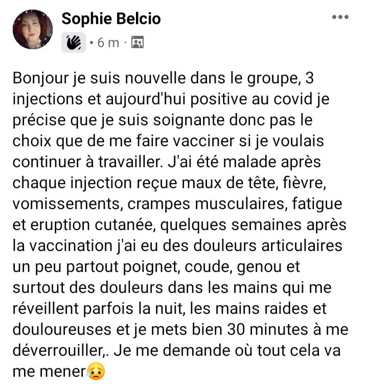 Les PIQUOUSÉS ne VIVRONT PAS PLUS de 10 ANS ! -4- - Page 21 2815_s10