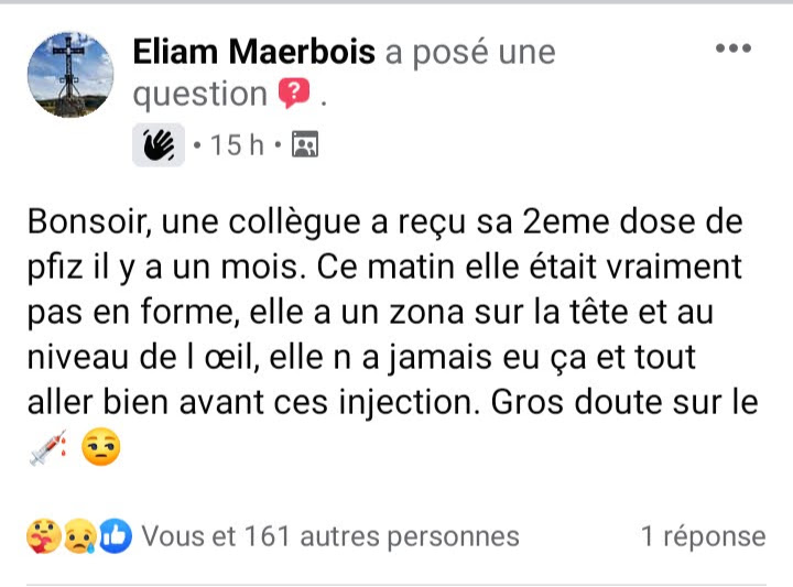 Les PIQUOUSÉS ne VIVRONT PAS PLUS de 10 ANS ! -1- - Page 82 695_el10