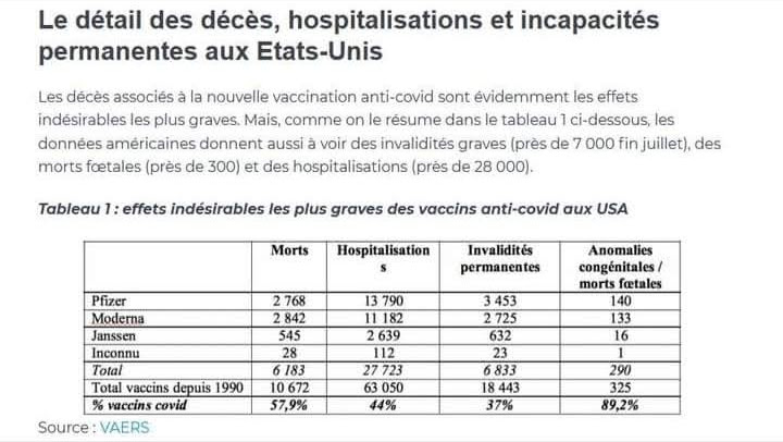 Les PIQUOUSÉS ne VIVRONT PAS PLUS de 10 ANS ! -2- - Page 40 Dzoczo16