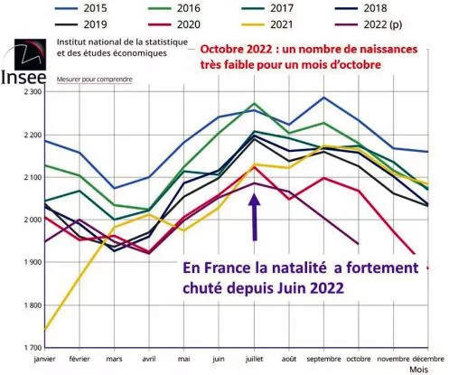 Les PIQUOUSÉS ne VIVRONT PAS PLUS de 10 ANS ! -6- - Page 34 Image160