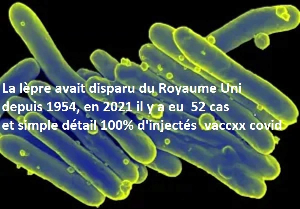 covid19 - Injection ARNm anti-covid : témoignages recensés de personnes victimes d'effets secondaires - Page 15 Lepros10