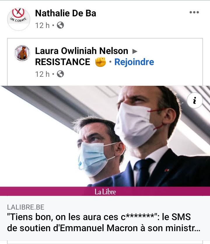 Les MÉFAITS de la PIQUOUSE   Macron13
