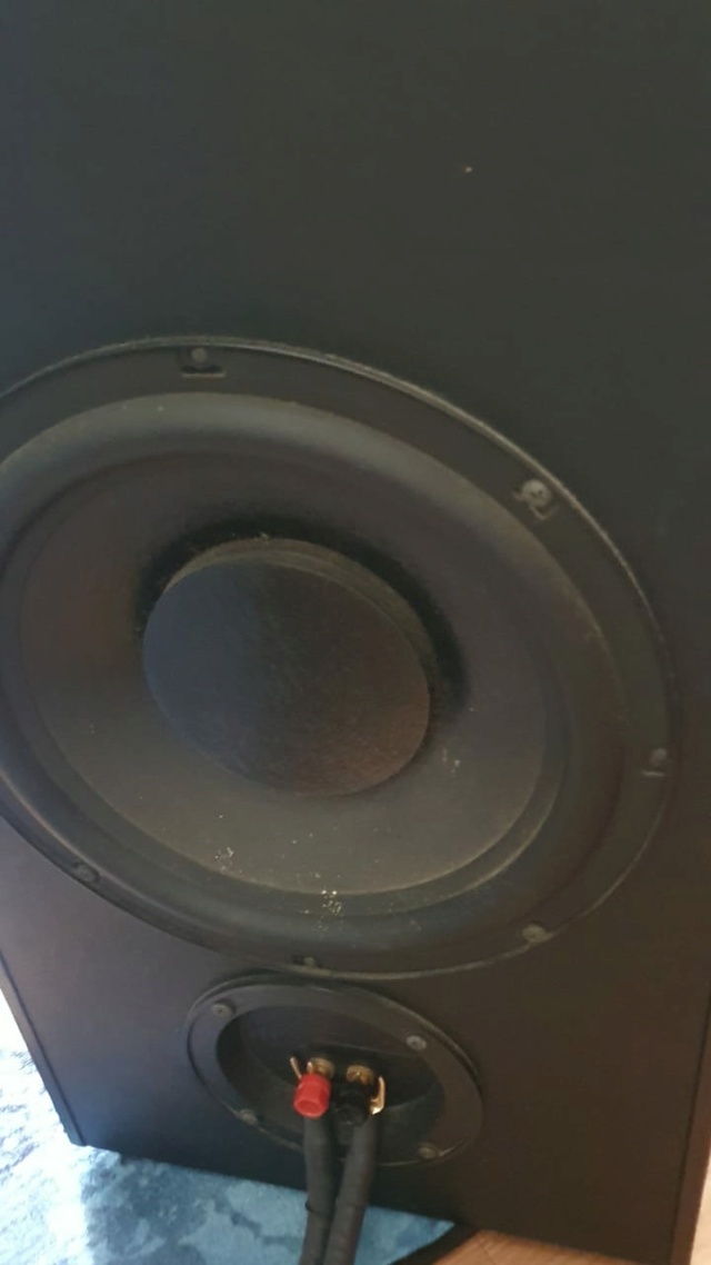 Polk Audio RTA15TL speaker (used)- Sold Polk4_11