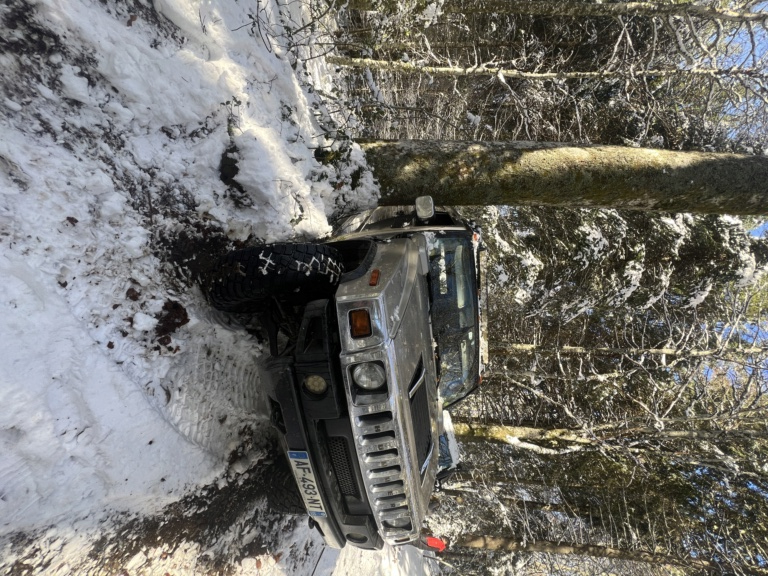 Sortie Hivernale dans le Puy de Dôme 20240144