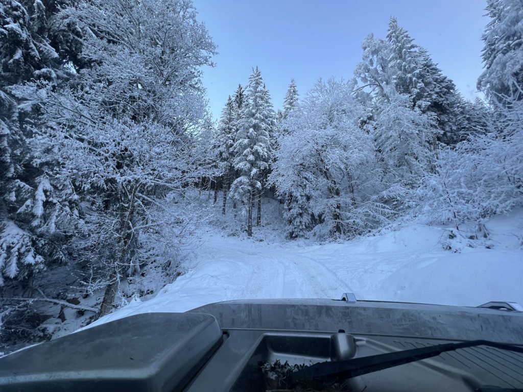 Sortie Hivernale dans le Puy de Dôme 20240151