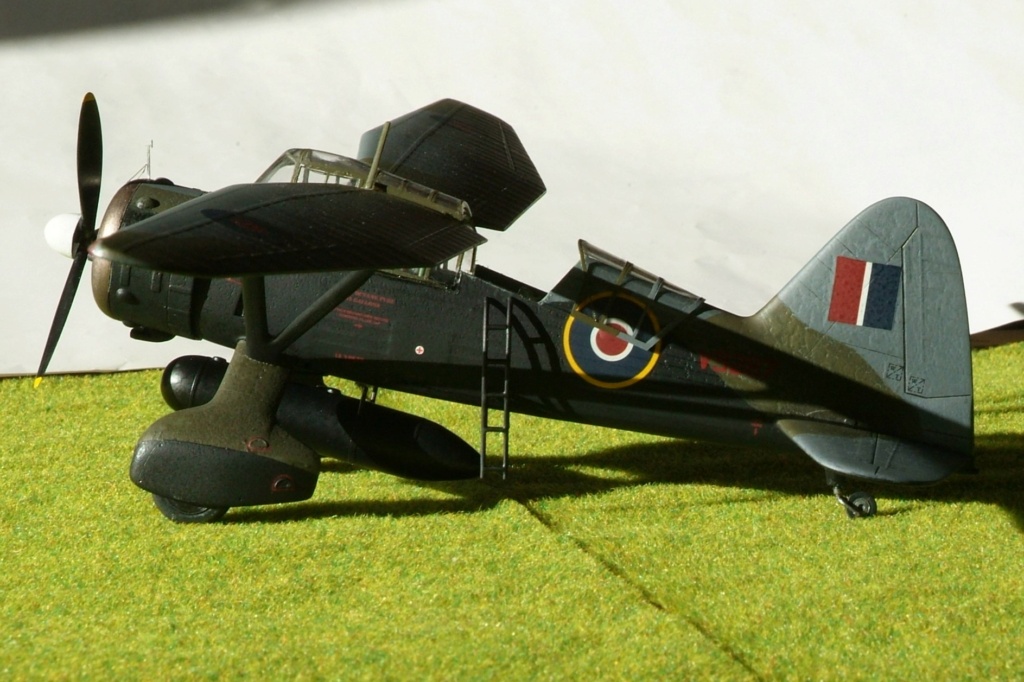 Lysander Mk III ( SD ) [ Eduard 1/48 ] RAF 161 Squadron 1942 Lys_210