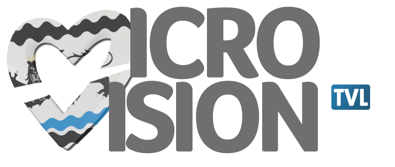 Sélection livadienne pour les concours Microvision de la chanson Microv10