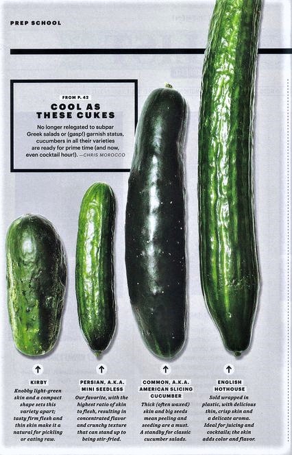 Food Shopping--What did you find recently? Cukes10