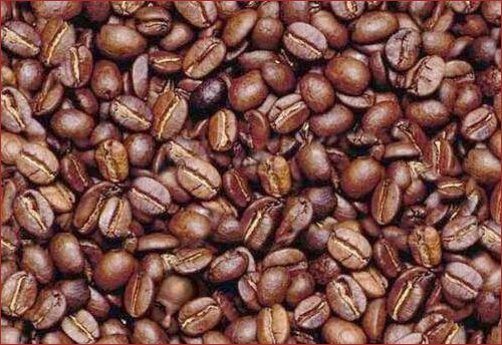 Can You See the Man in the Coffee Beans? The_co10