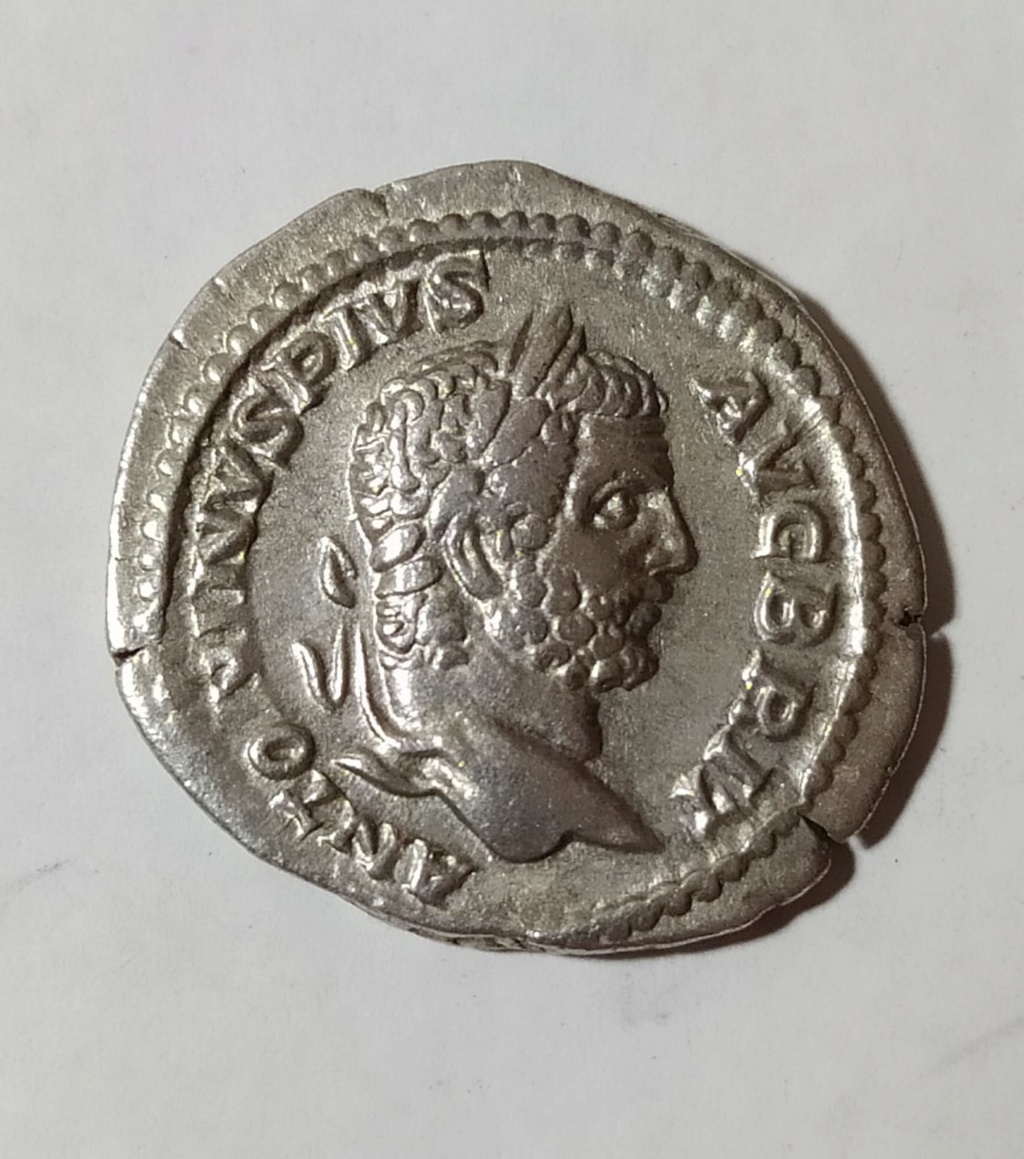 Denario de Caracalla. FORT RED PM TR P XIIII COS III PP. Fortuna a izq. Roma Antoni10