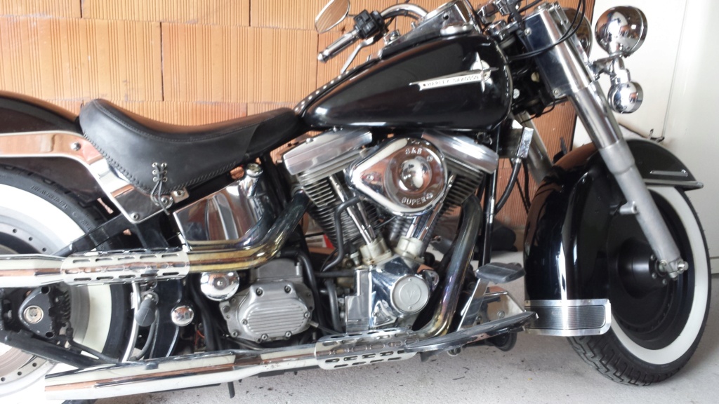 mon softail 20200810