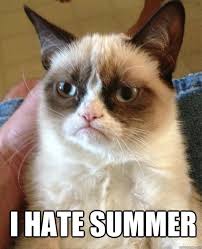 I Hate Summer! Grumpy12