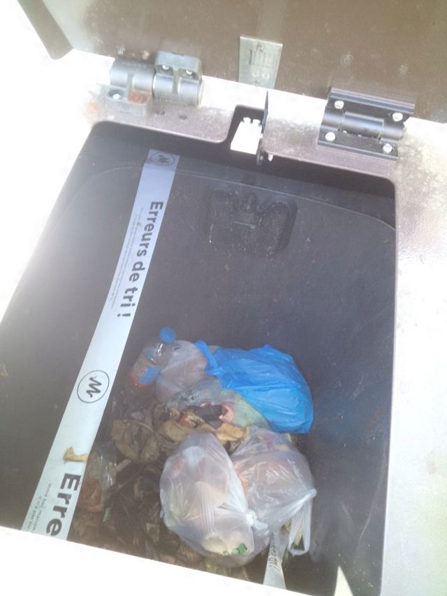 bornes de compost dans la rue Img_2014