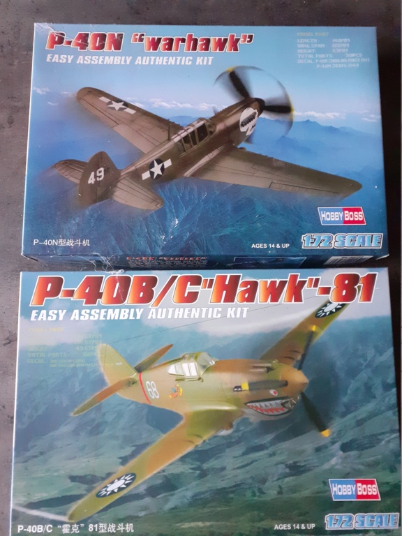 [Hobby boss] P-40 en famille (B,C,E,M,N) les requins sont de sortie  20230114