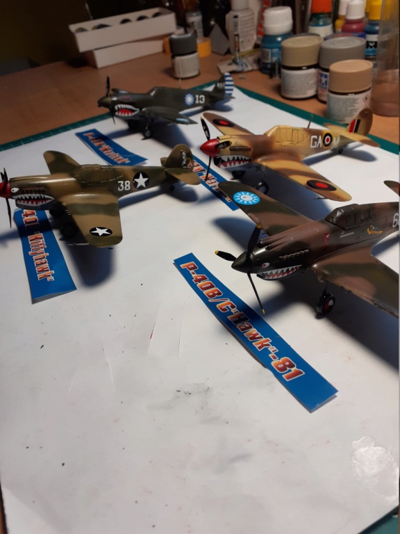 [Hobby boss] P-40 en famille (B,C,E,M,N) les requins sont de sortie  20230157