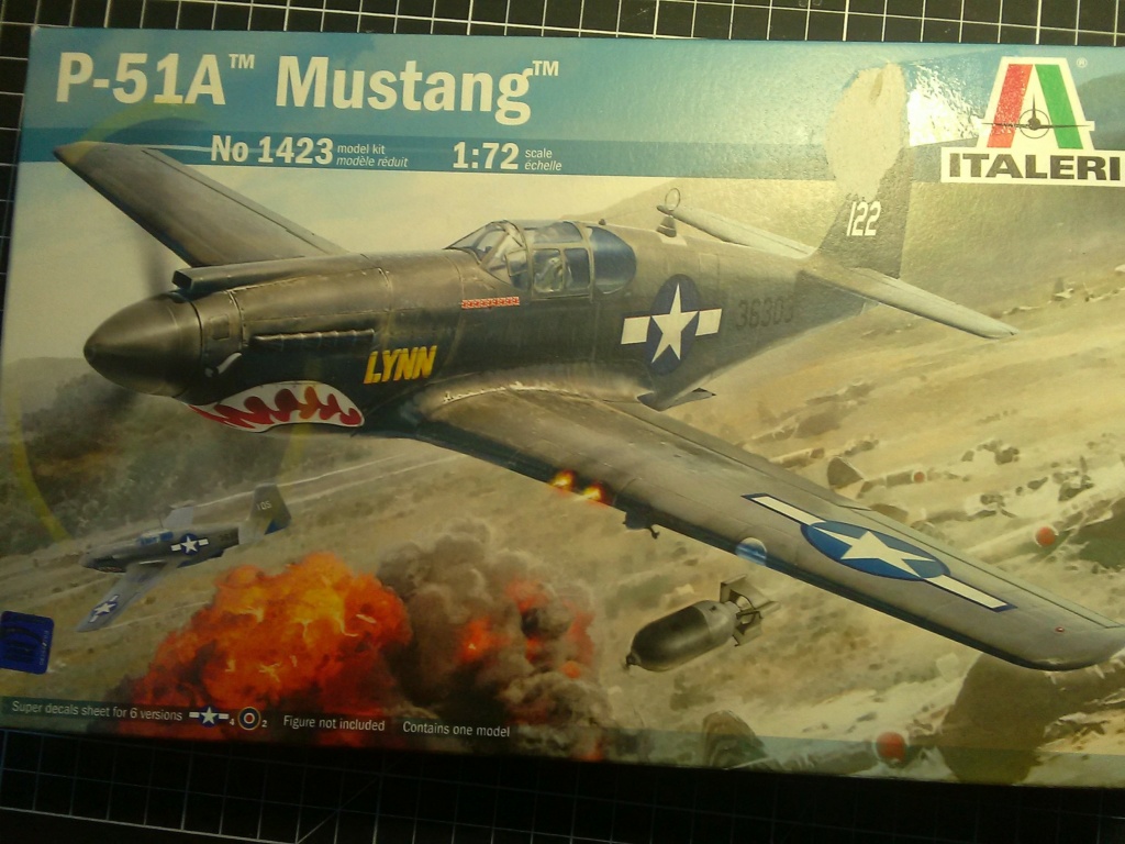 [Italeri] P51A Mustang ....... Fini  Img_2379