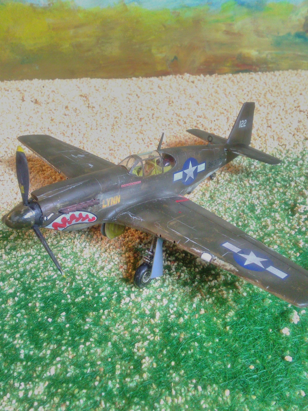 [Italeri] P51A Mustang ....... Fini  - Page 2 Img_2416