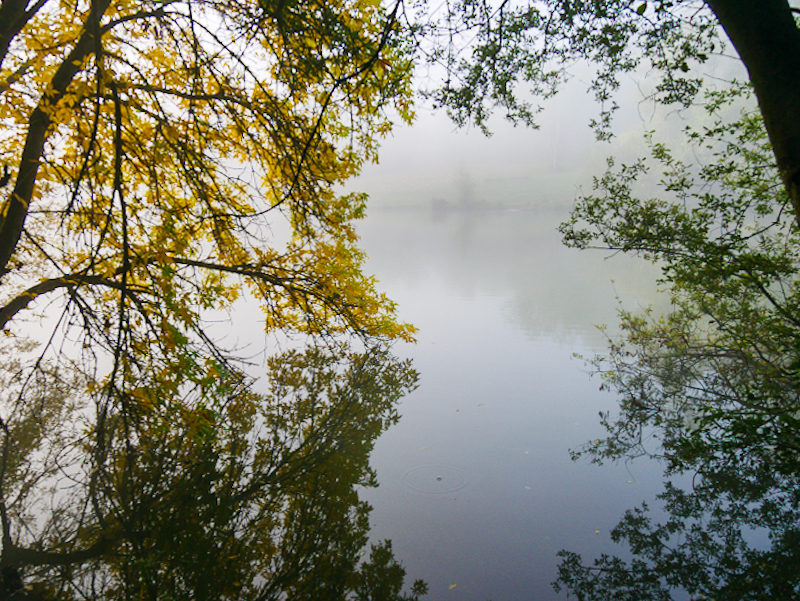 Brouillard et reflet un matin d’automne  20221010