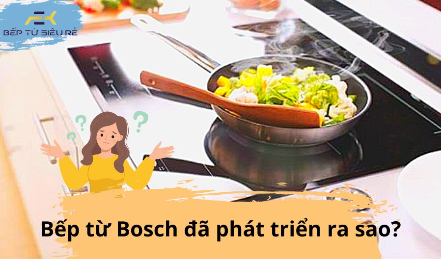 BẾP TỪ BOSCH ĐÃ PHÁT TRIỂN RA SAO? Tin_to10